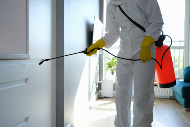 Best Asbestos and Lead Testing During Mold Inspection  in Clearwater, FL